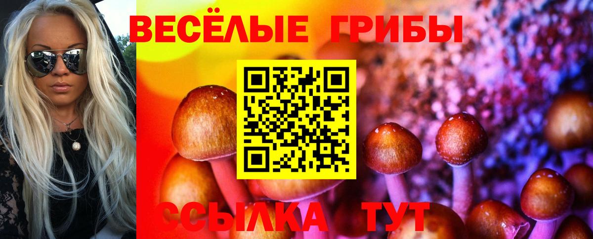 Псилоцибиновые грибы Magic Shrooms Малоярославец