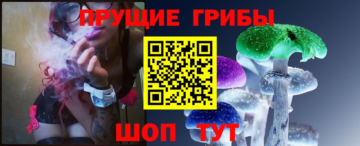 Псилоцибиновые грибы GOLDEN TEACHER  Вход с VPN  Малоярославец  Галлюциногенные грибы Cubensis 
